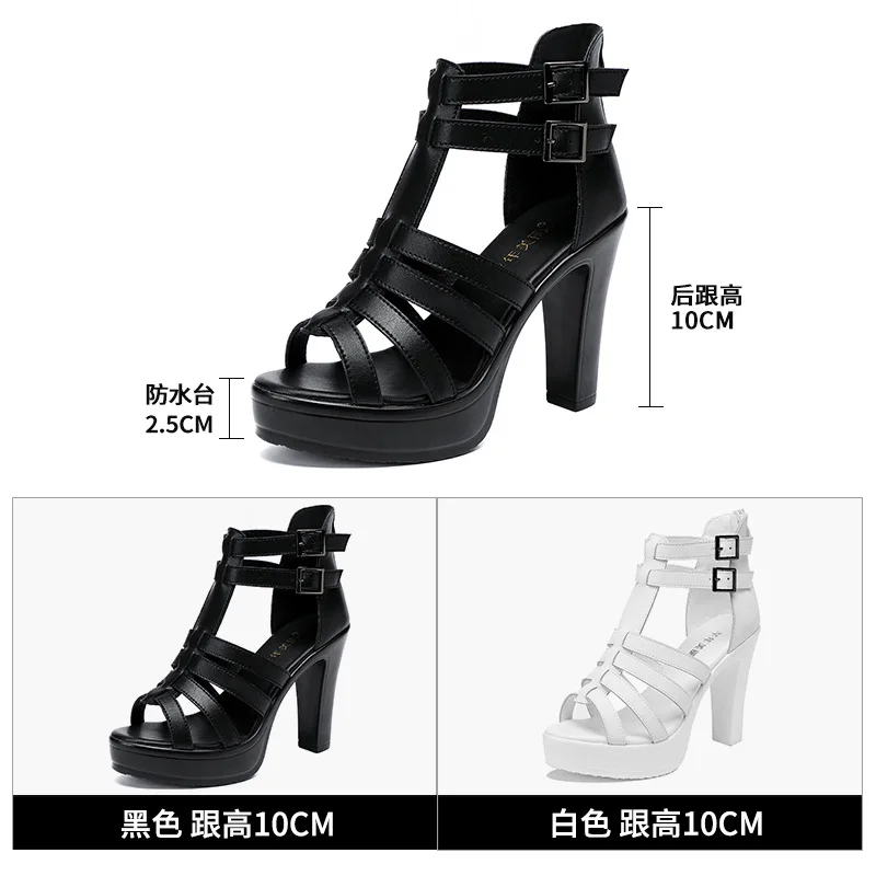 Gladiator Ladies Shoe for Wome - огляд і ціна Summer Clothing Stores